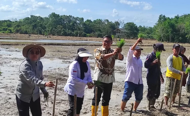 Keluhan Petani Sawah Tadah Hujan di Balikpapan